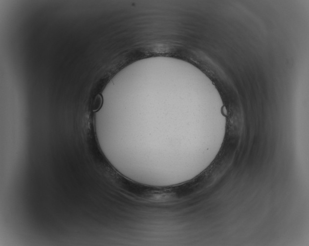 X0000100360555200806271426