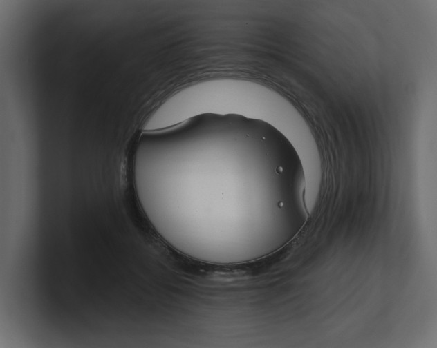 X0000100360556200806271426