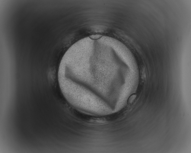 X0000100360559200806271426