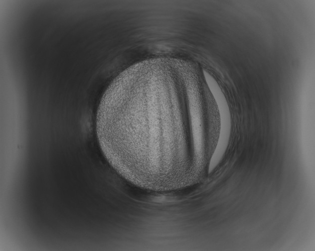 X0000100360561200806271426