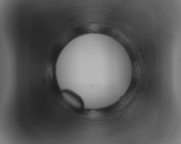 X0000100360562200806271426