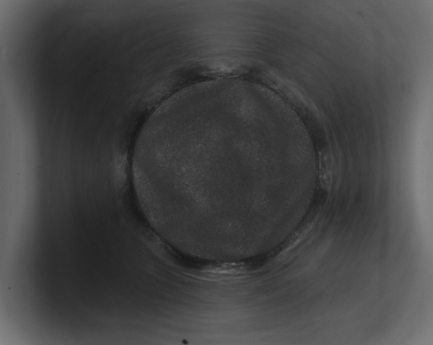 X0000100360563200806271426