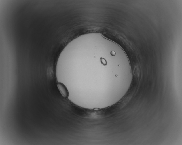 X0000100360564200806271426