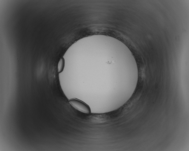 X0000100360567200806271426