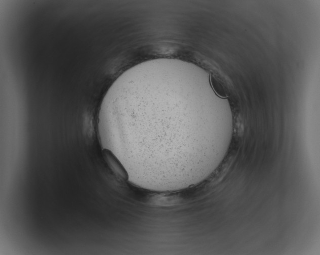 X0000100360568200806271426