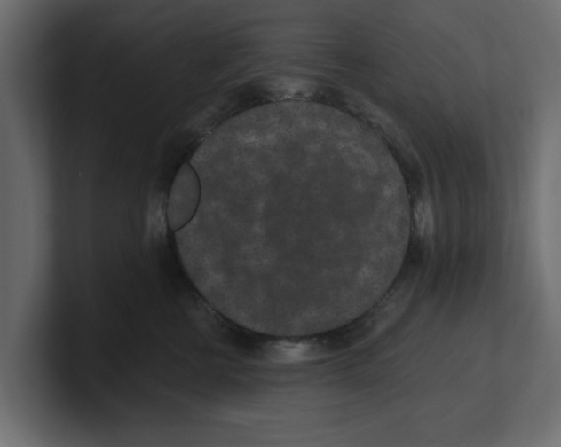 X0000100360570200806271426