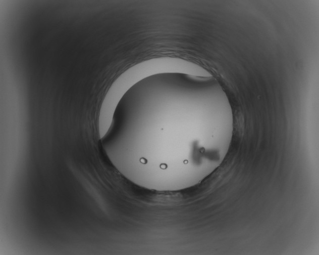 X0000100360571200806271426