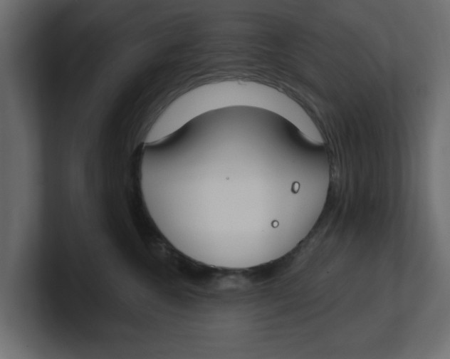 X0000100360572200806271426