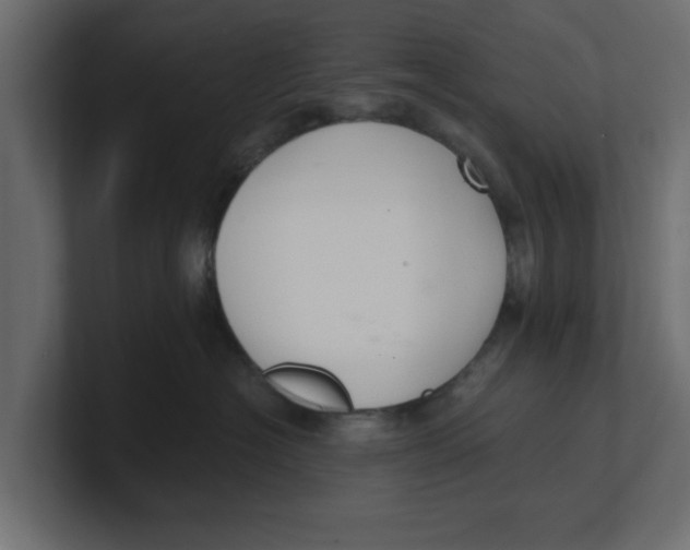 X0000100360574200806271426