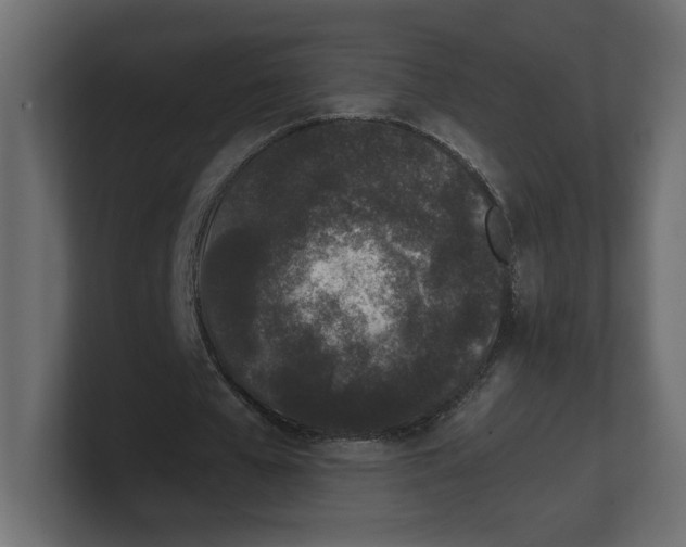 X0000100360577200806271425