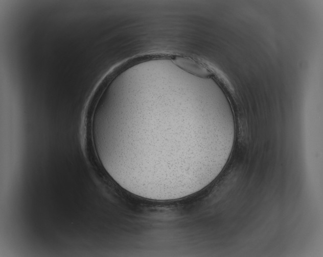 X0000100360580200806271425