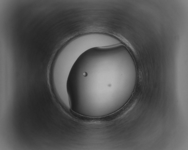 X0000100360581200806271425