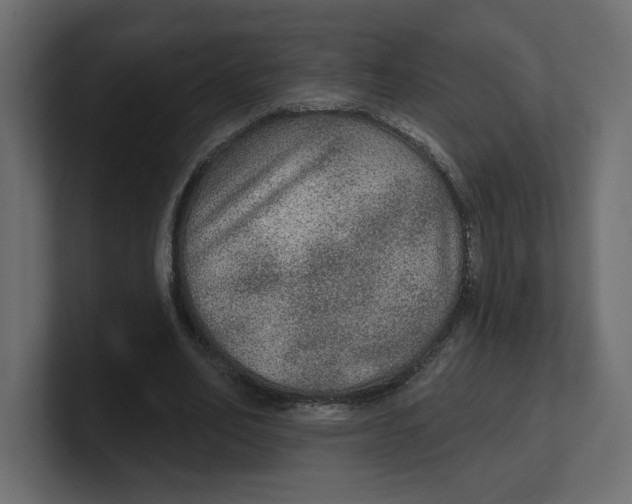 X0000100360582200806271425