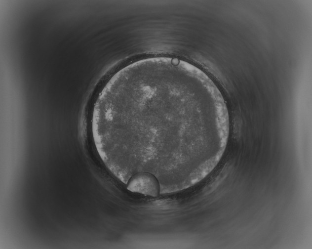 X0000100360584200806271425