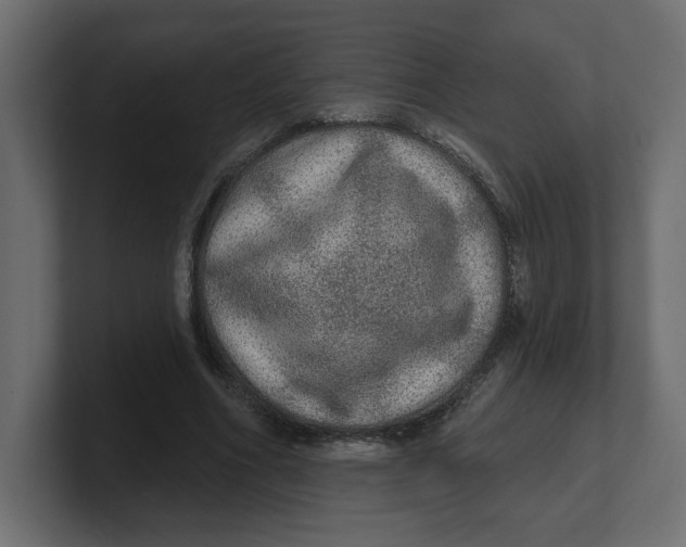 X0000100360586200806271425