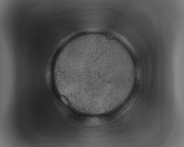 X0000100360588200806271425