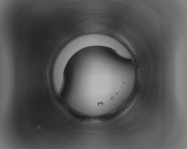 X0000100360589200806271425