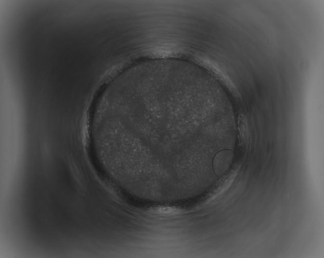 X0000100360590200806271425