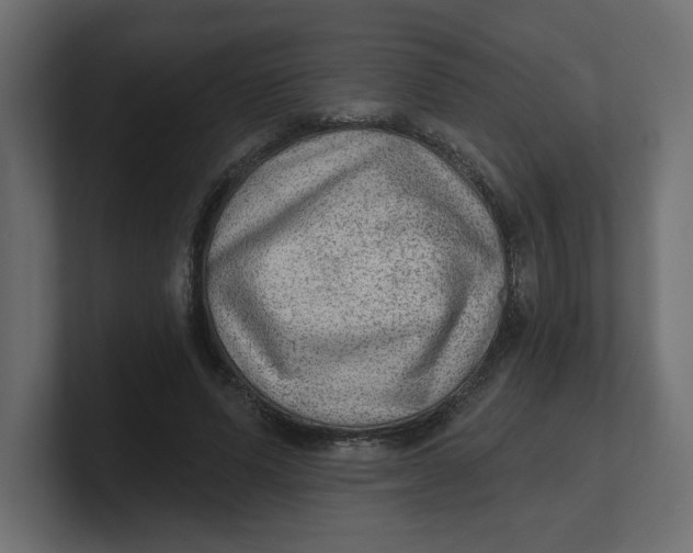 X0000100360591200806271425