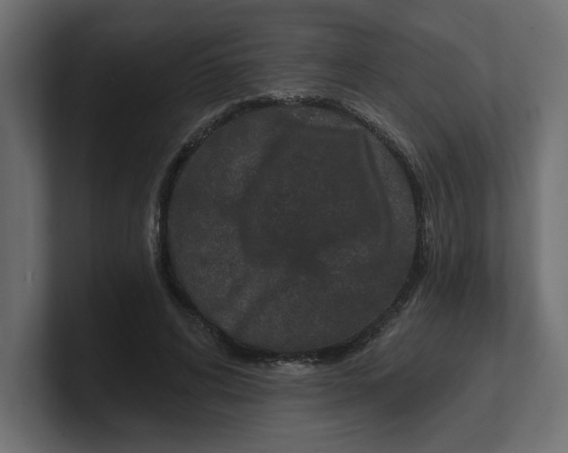 X0000100360592200806271425