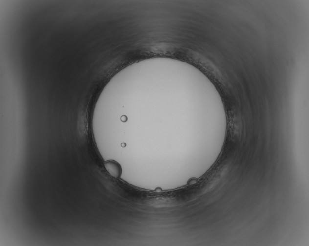 X0000100360593200806271425