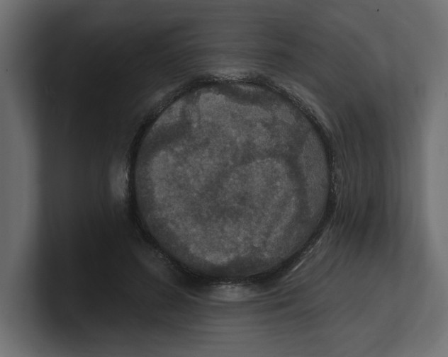 X0000100360596200806271425