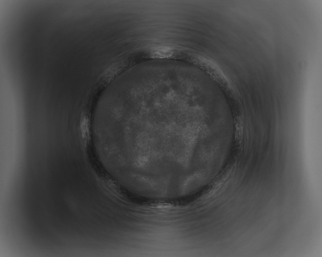 X0000100360598200806271425