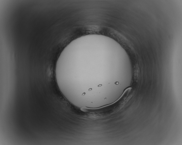 X0000100360608200806271425