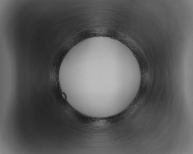 X0000100360609200806271425