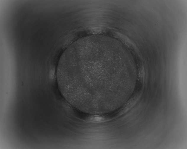 X0000100360610200806271425