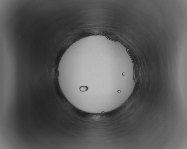 X0000100360611200806271425