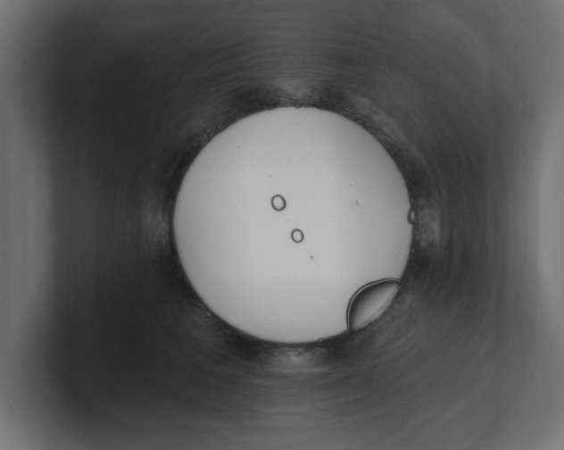 X0000100360613200806271425