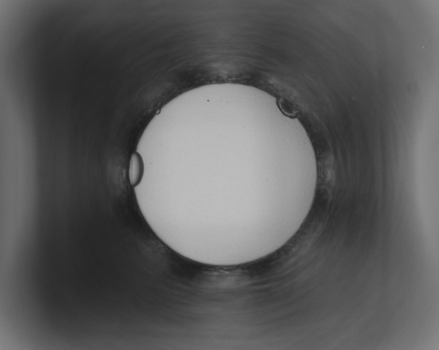 X0000100360615200806271425