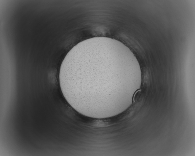 X0000100360616200806271425