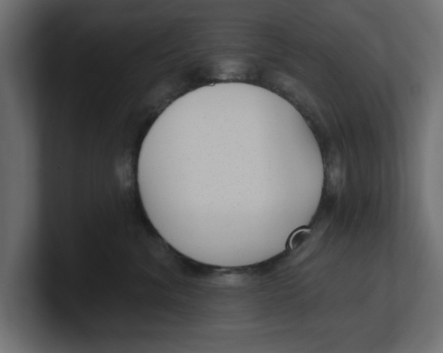 X0000100360620200806271425