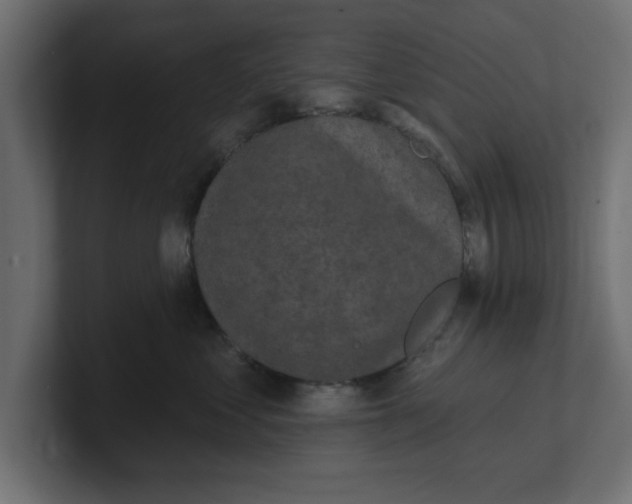 X0000100360621200806271425