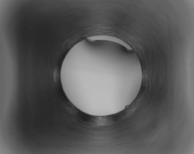 X0000100360623200806271425