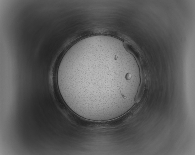 X0000100360626200806271424