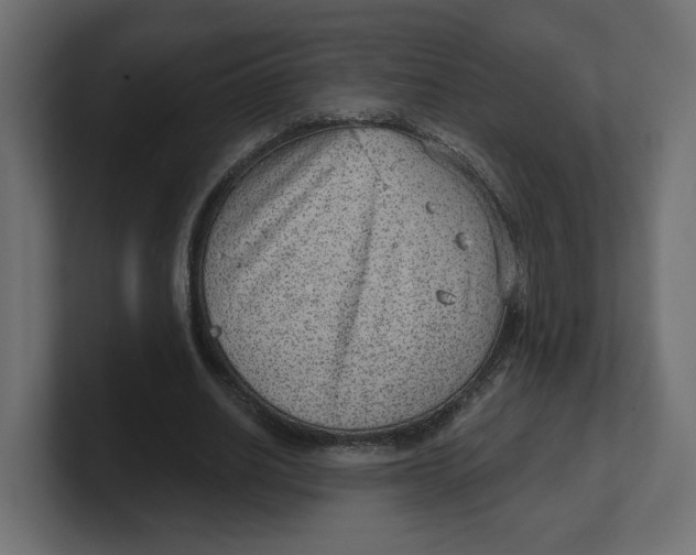 X0000100360630200806271424