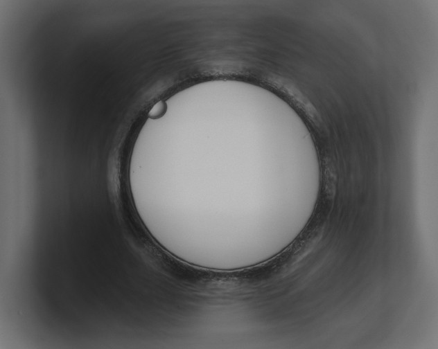 X0000100360631200806271424