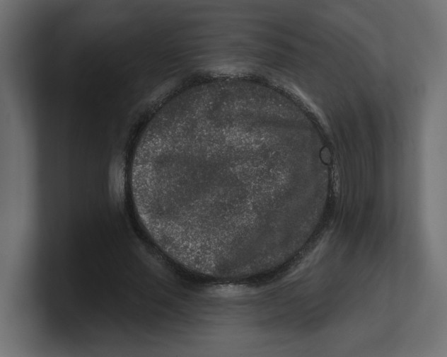 X0000100360637200806271424