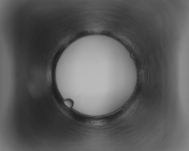 X0000100360638200806271424