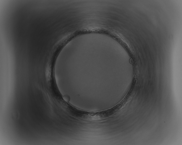 X0000100360640200806271424