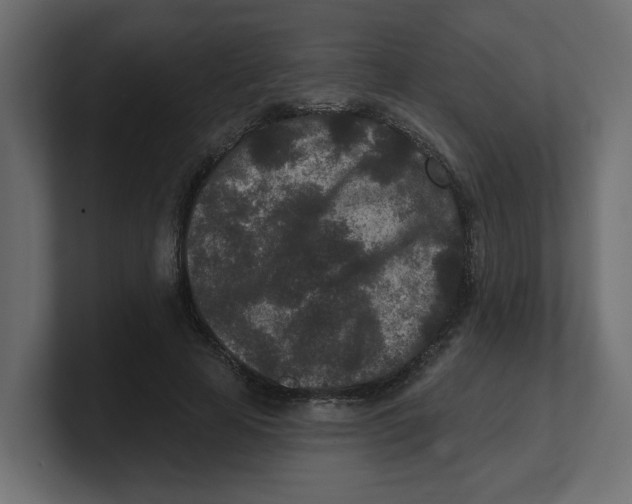 X0000100360641200806271424