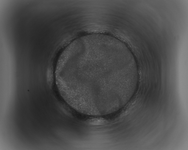 X0000100360642200806271424