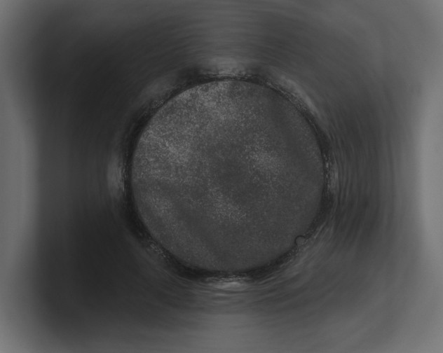 X0000100360643200806271424