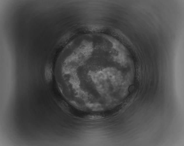 X0000100360644200806271424