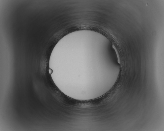 X0000100360645200806271424