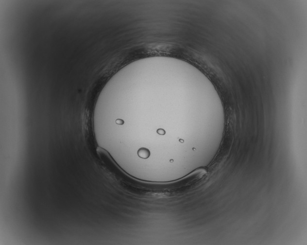 X0000100360649200806271424