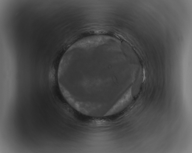 X0000100360650200806271424